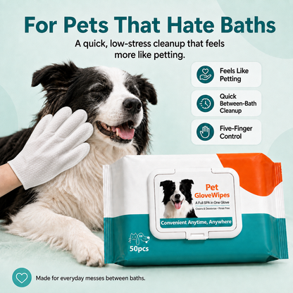 Glove Wipes