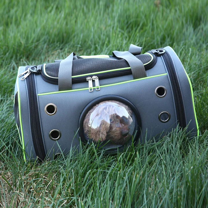 Convertible Pet Travel Bag
