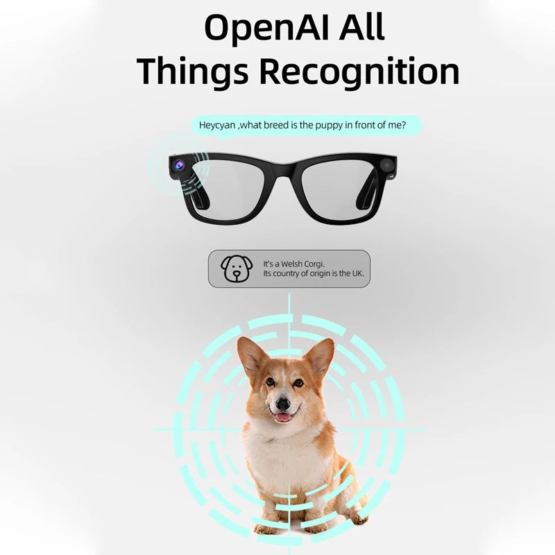 AI Smart Glasses