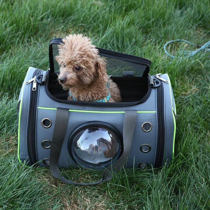 Convertible Pet Travel Bag