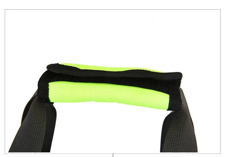Convertible Pet Travel Bag