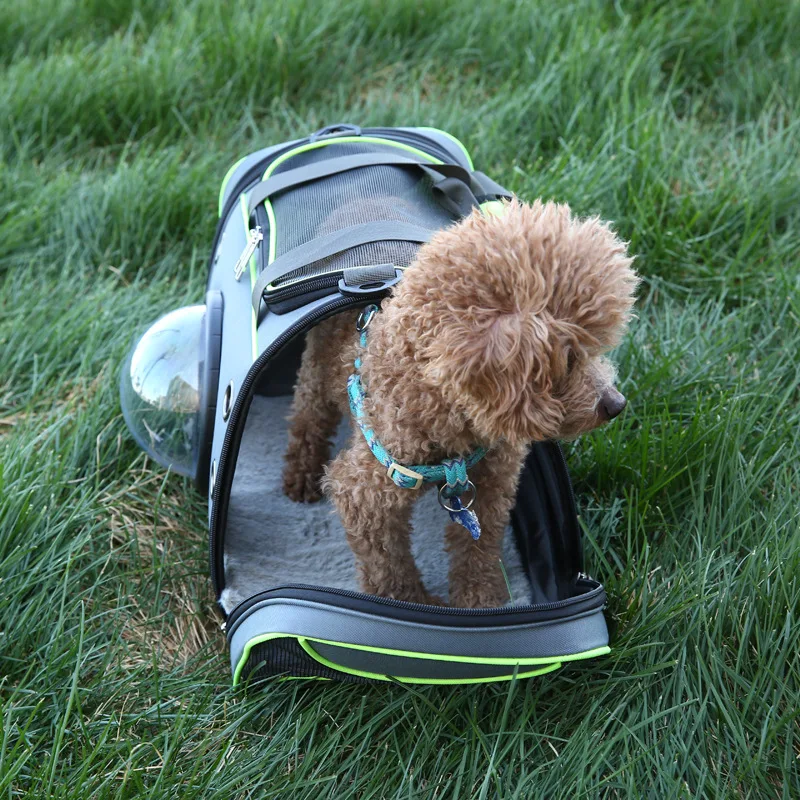Convertible Pet Travel Bag